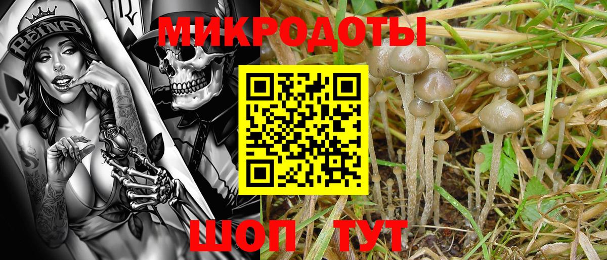 Галлюциногенные грибы Psilocybe  Вход с VPN  Рыбинск 